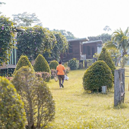 Chiewlan Camp And Resort Ban Pha Saeng Lang Luaran gambar