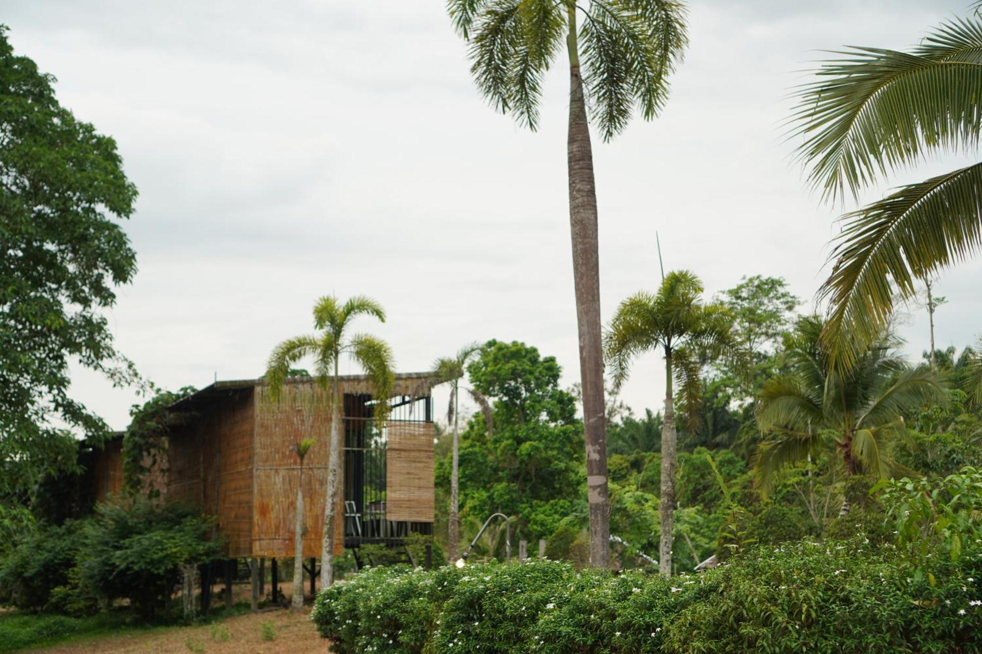 Chiewlan Camp And Resort Ban Pha Saeng Lang Luaran gambar