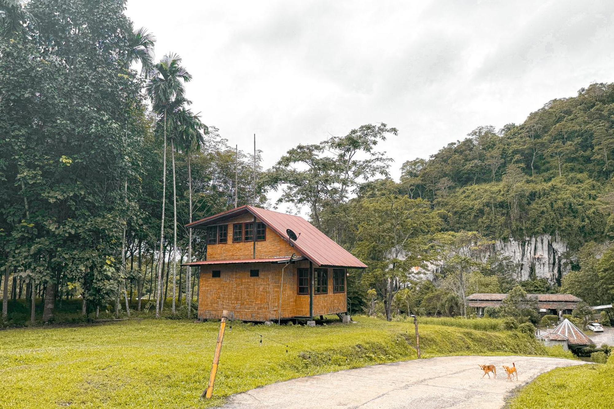 Chiewlan Camp And Resort Ban Pha Saeng Lang Luaran gambar